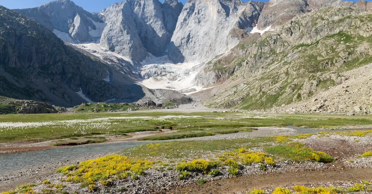 Qual é o parque natural famoso nos Pirenéus franceses?