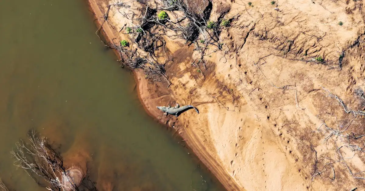 Qual região da Austrália abriga mais crocodilos?