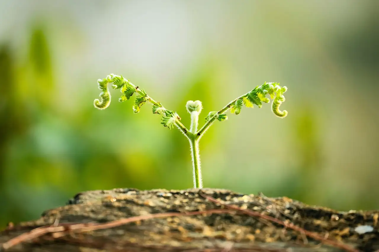 Como a AWS impulsiona o crescimento das empresas na nuvem?