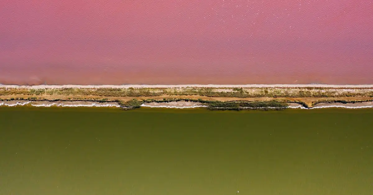 Lago Urmia: Como afeta o meio ambiente e a produção de sal?