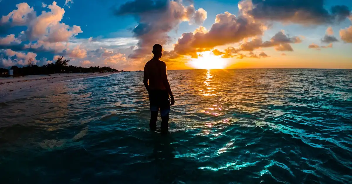 O que ver e fazer na Isla Holbox, México?