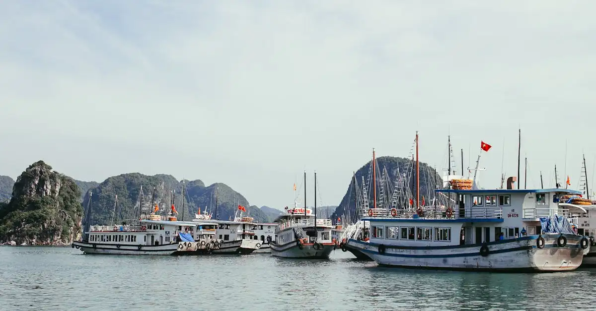 Por que a Baía de Halong é tão famosa no Vietnã?