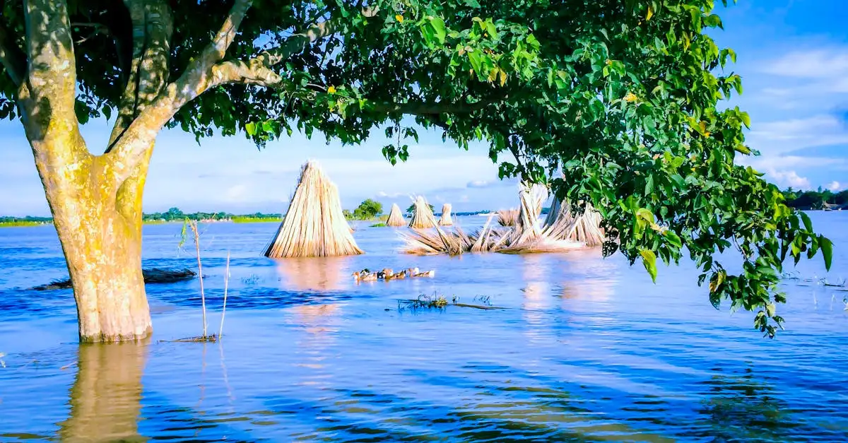 Por que as inundações em Bangladesh em 2022 foram devastadoras?