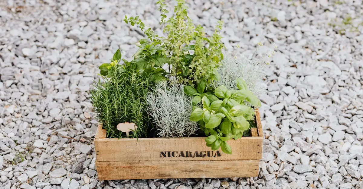 Quais são as 3 especialidades culinárias mais famosas da Nicarágua?