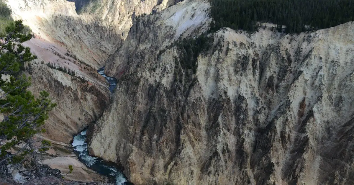 Qual é a história resumida do Wyoming?