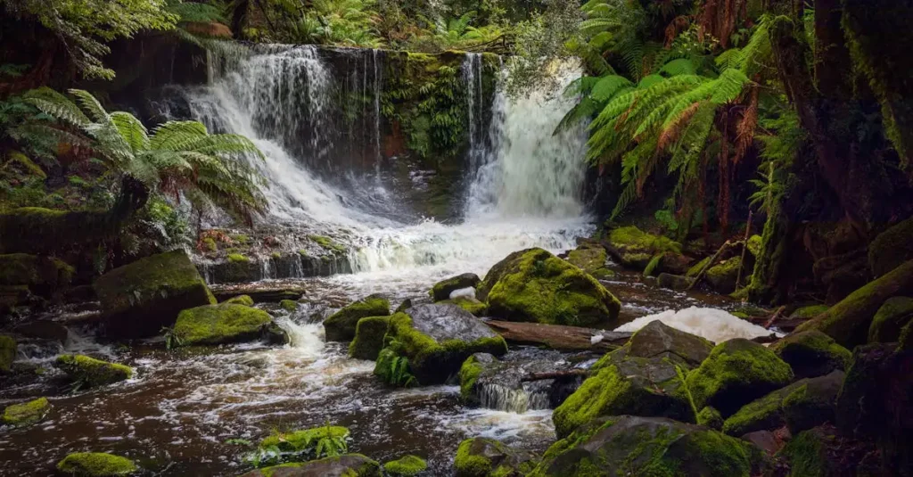 Qual país descobriu a Tasmânia no século XVII?