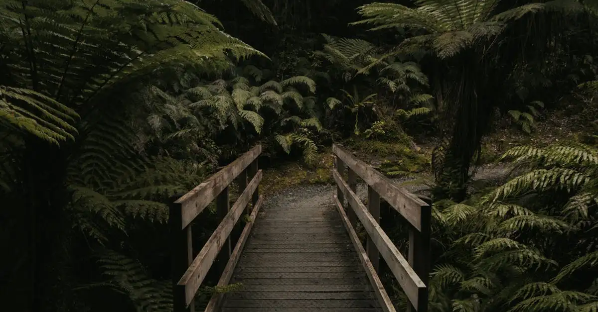 Qual região da Austrália abriga florestas tropicais?