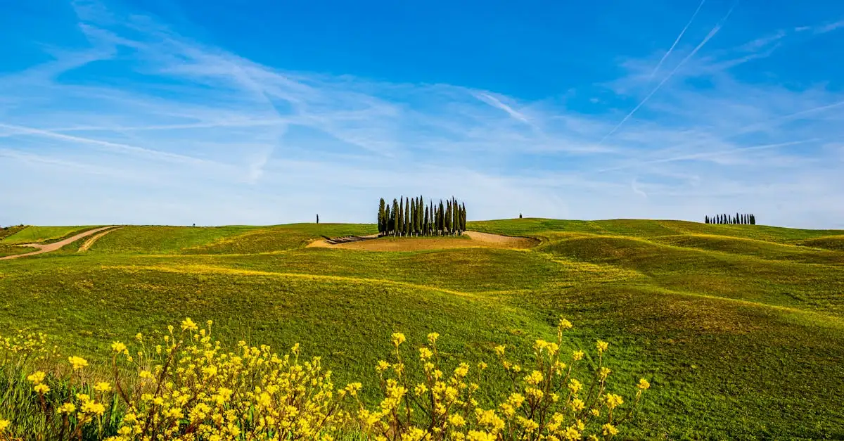 Qual região da Itália é o Parque Val d'Orcia?