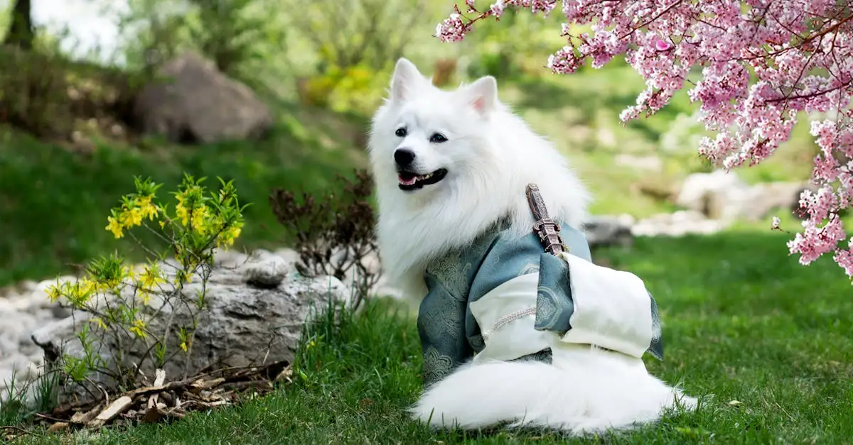 Cães: Como Eles Influenciam Folclore e Contos de Fadas?