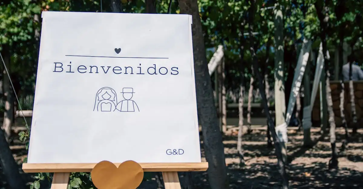 O que é Hola e quando usar essa expressão?