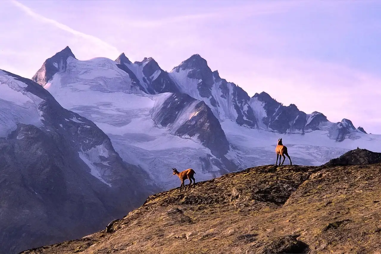 O que saber sobre o Parque Nacional Gran Paradiso na Itália?