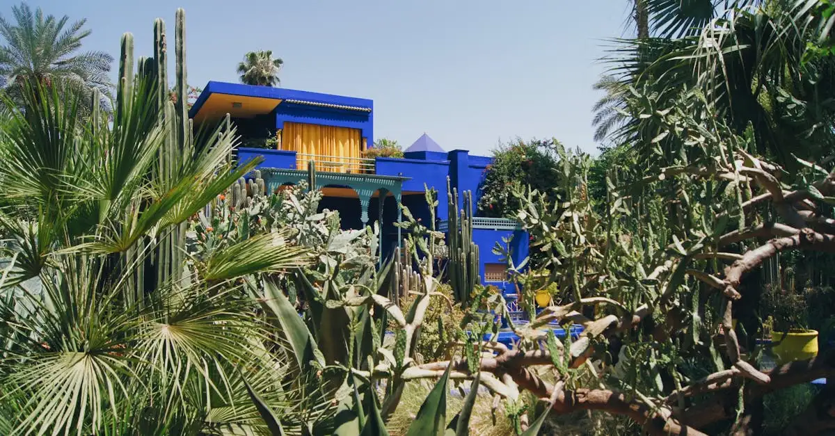 Por que visitar os Jardins de Majorelle no Marrocos?