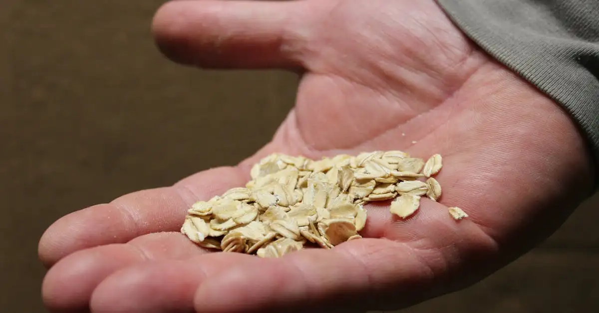 Quais são as 3 principais especialidades culinárias de Vermont?