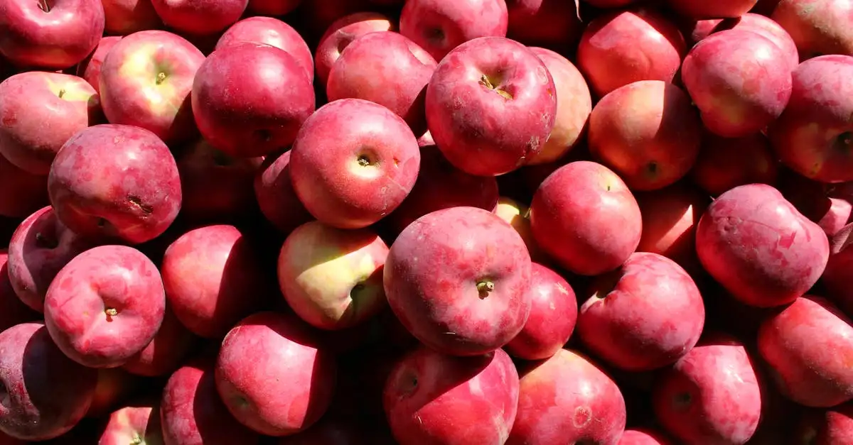 Quais são as 3 principais especialidades culinárias de Vermont?