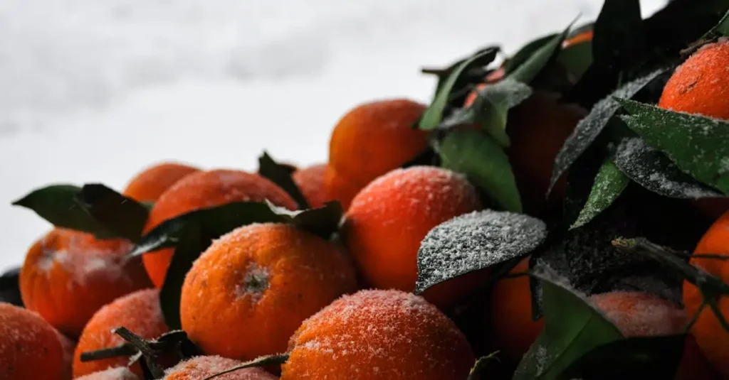 Quais vitaminas podem fortalecer sua imunidade contra resfriados?
