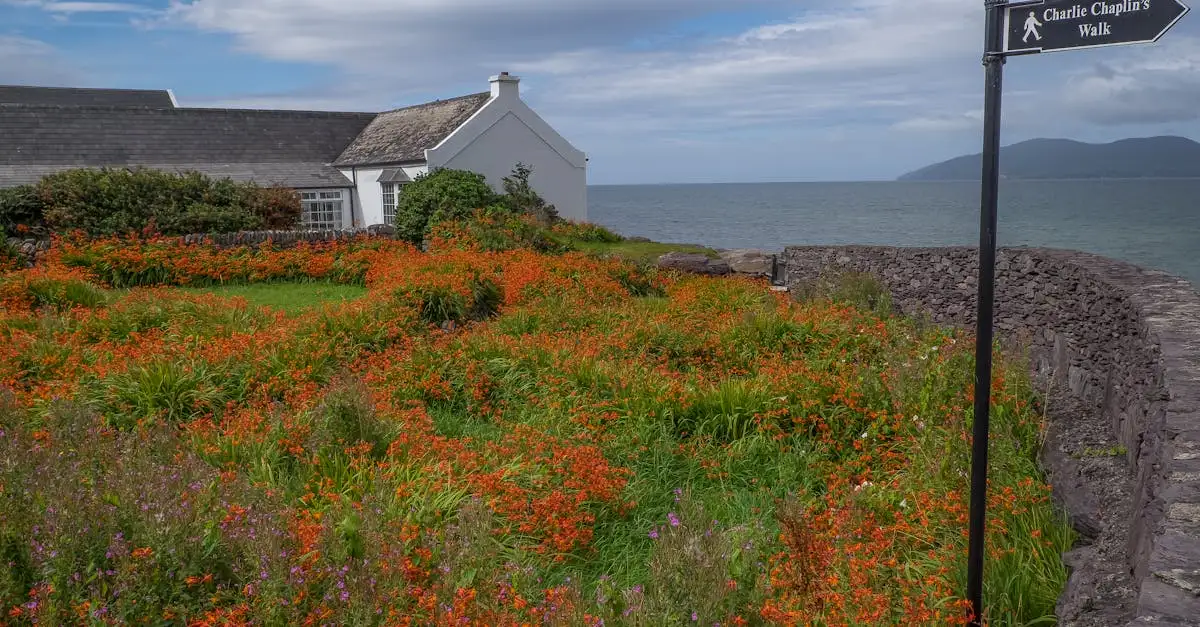 Qual é a região que protege o Ring of Kerry na Irlanda?