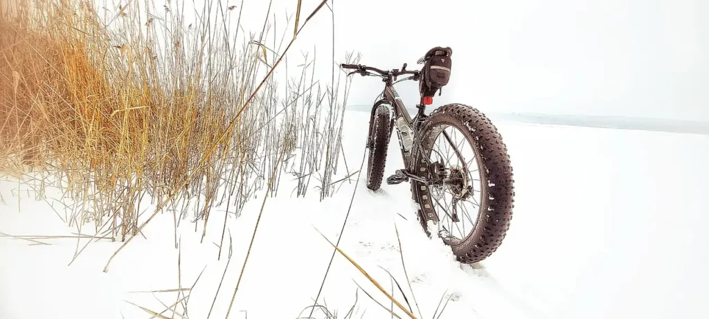 Como Funciona uma Fatbike e Quais Seus Benefícios?