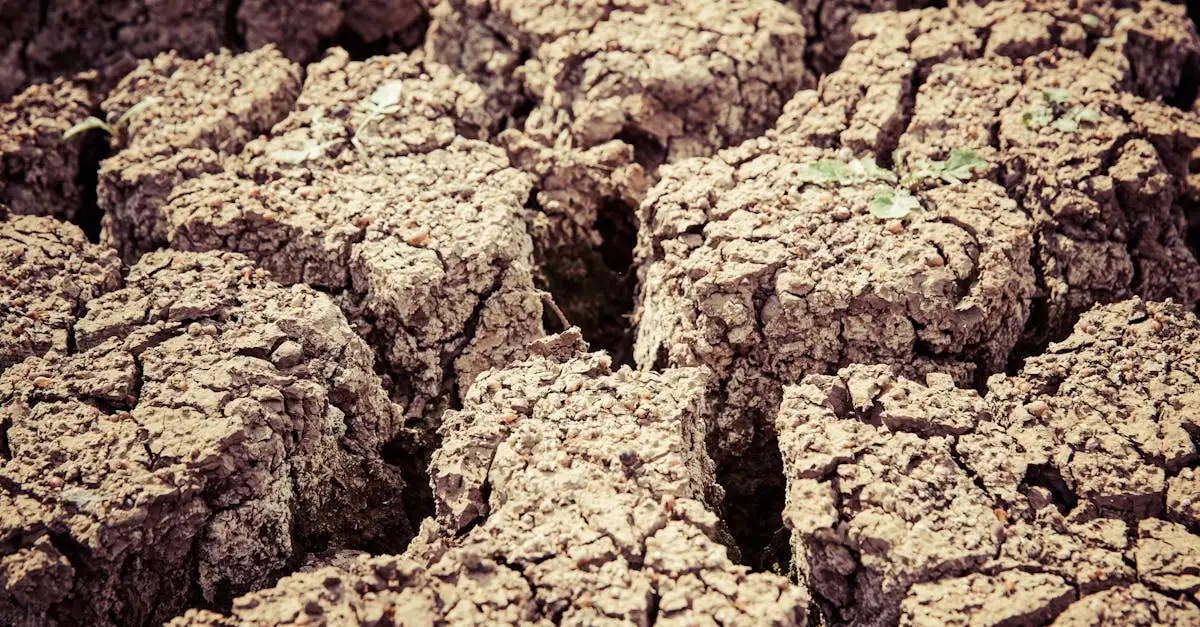 O que provocou a devastação do terremoto no Haiti?