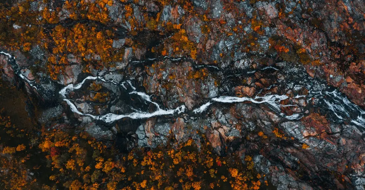 Onde Explorar a Natureza Selvagem da Lapônia Sueca?
