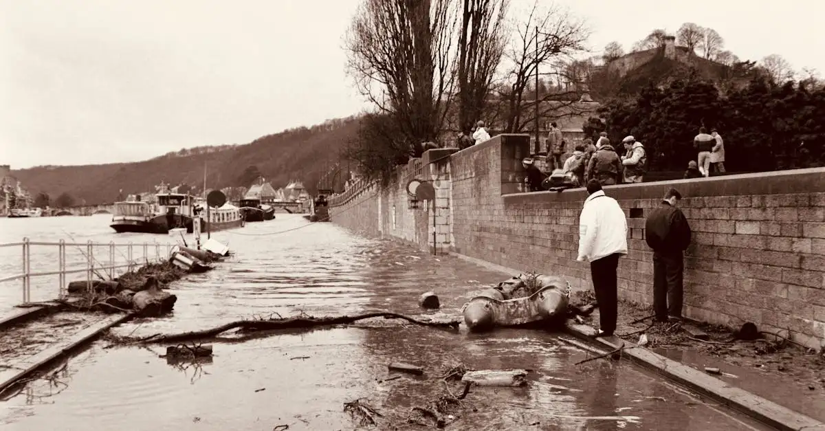Qual filósofo belga abordou a crise ecológica?