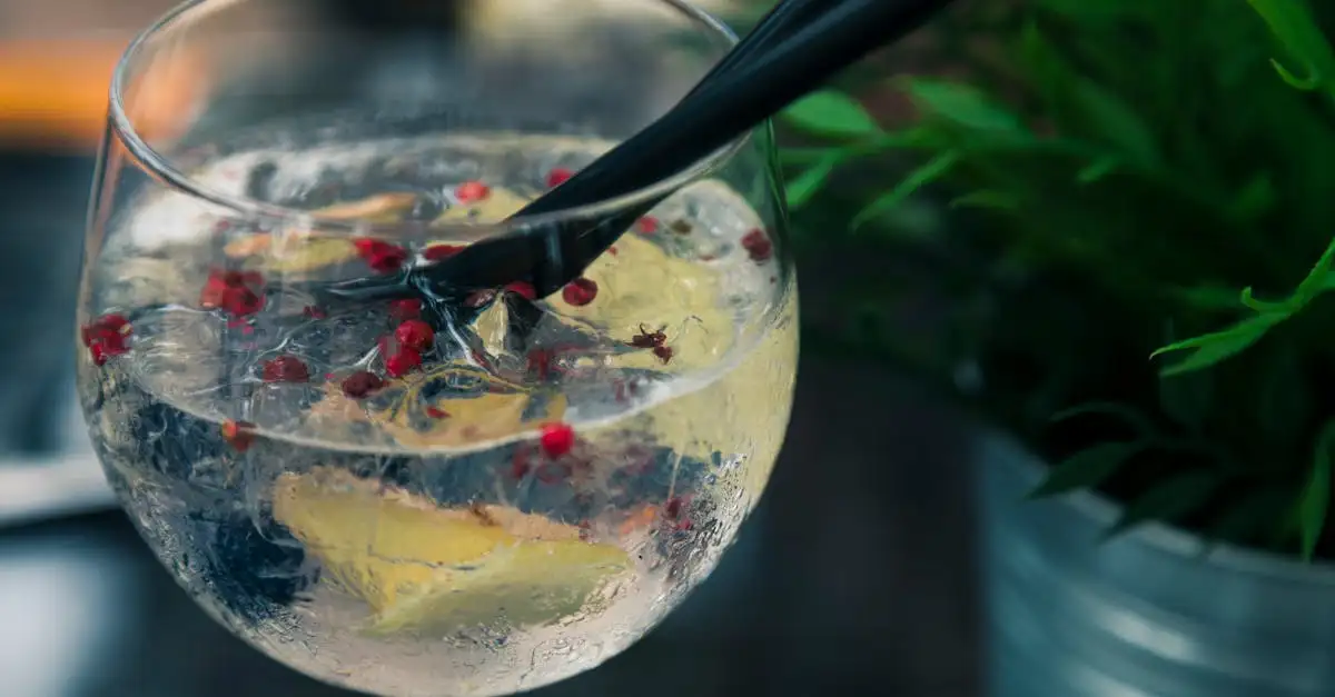 Qual gin combina melhor com tônica de flor de sabugueiro?