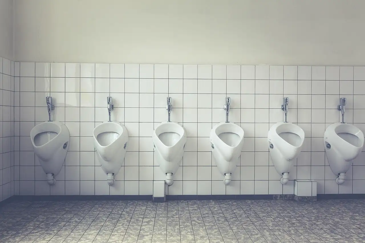 Quantos Skibidi Toilet Sigmas Existem Realmente?