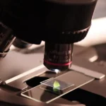 Como a microscopia revolucionou a medicina moderna?