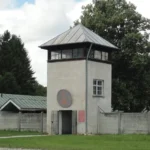 Como Hitler Ascendeu ao Poder na Alemanha?