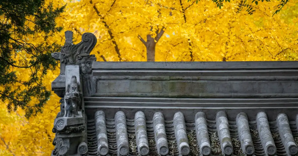 Ginkgo Biloba: Quais são os seus principais benefícios?