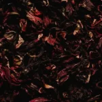 Hibisco: Quais são seus benefícios e aplicações?