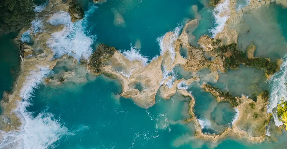 O que você pode explorar na Amazônia do Brasil?