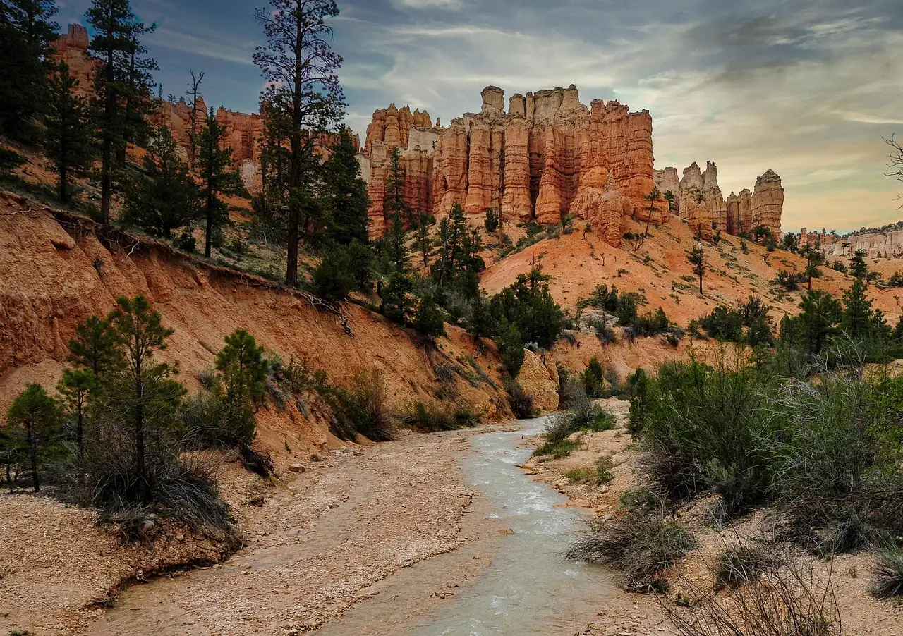 Onde estão as espetaculares sequoias nos EUA?