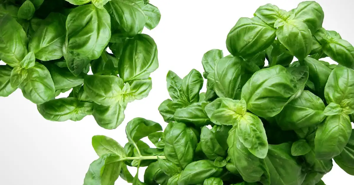 Quais legumes são ideais para acompanhar pasta pesto?