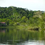 Quais países o rio Amazonas atravessa?