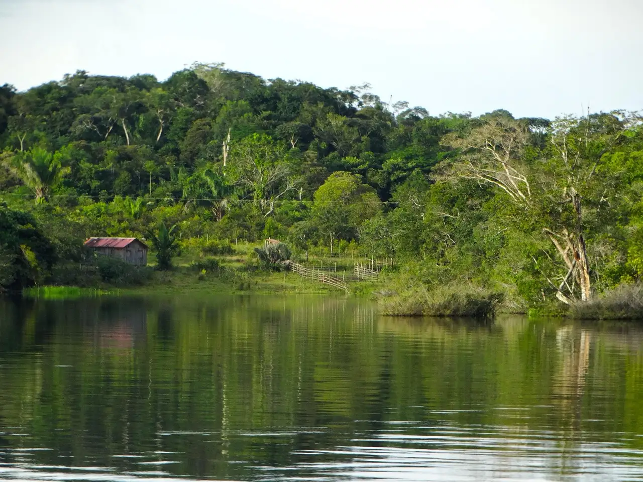 Quais países o rio Amazonas atravessa?
