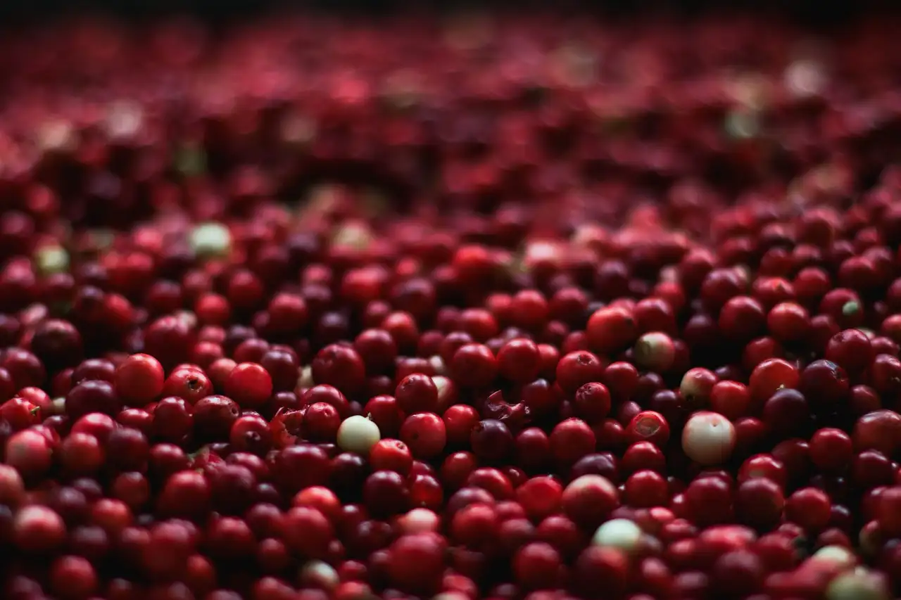 Quais são as melhores pílulas de cranberry para infecção urinária?