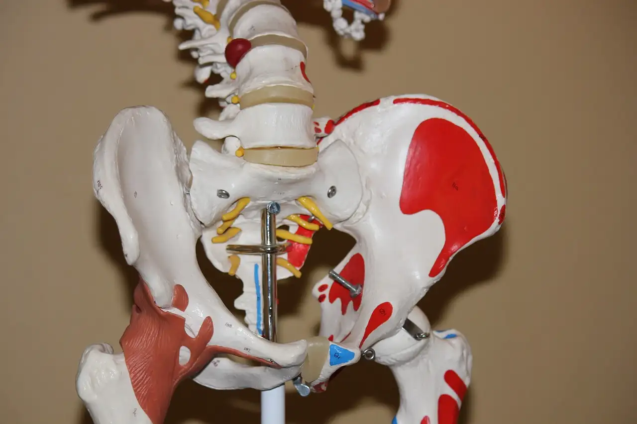 Quais são os melhores exercícios para bursite do quadril?