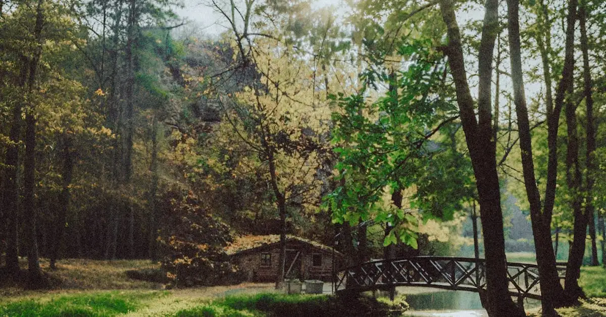 Qual a temperatura ideal para pintar do lado de fora?