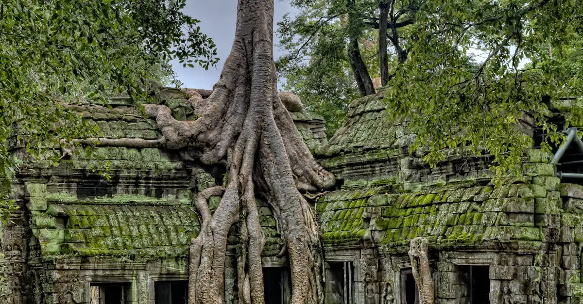 Qual templo no Camboja é dedicado a Vishnu?
