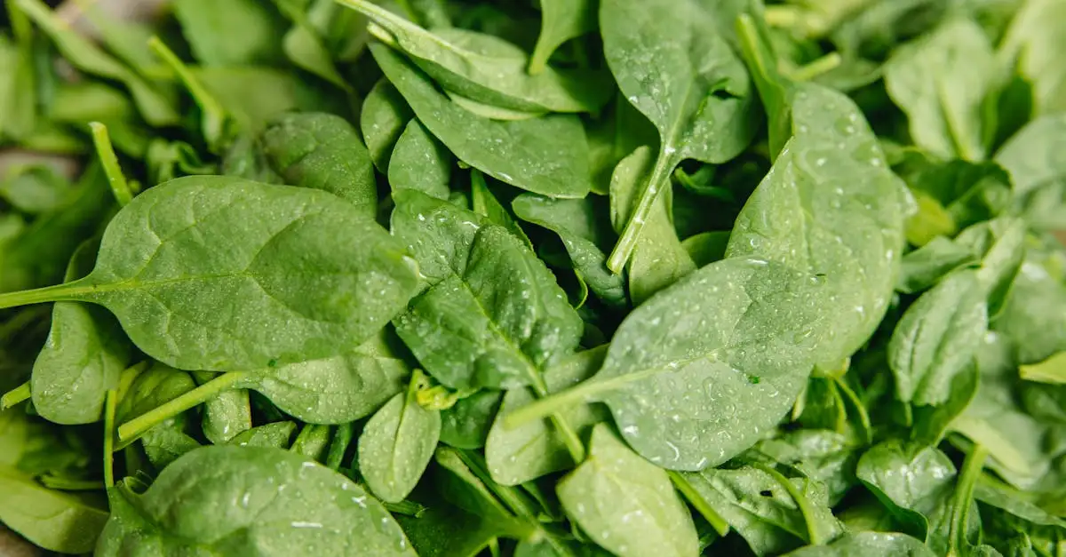 Vitamina K: Quais são seus benefícios para a saúde?