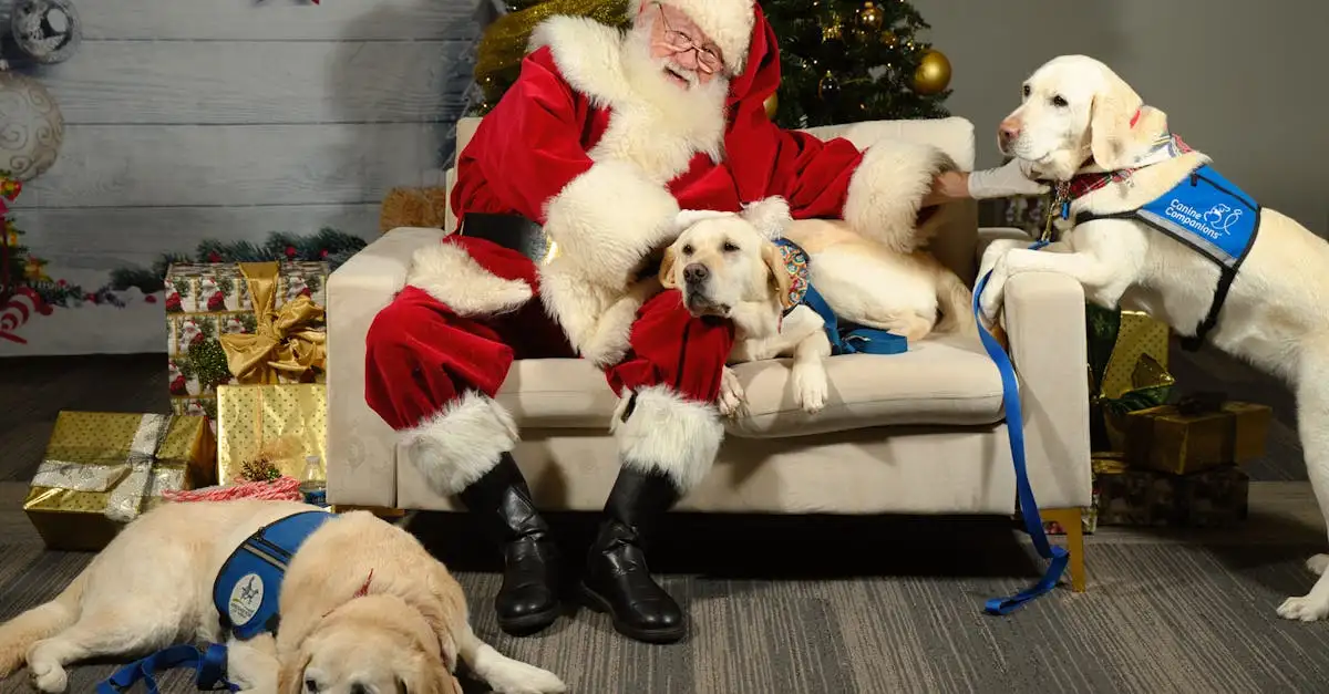 Quais são as melhores raças de cães de assistência?