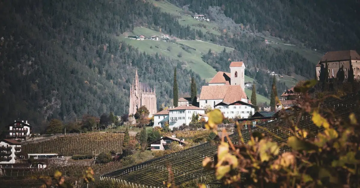 Qual vinho combina melhor com carne de lebre?