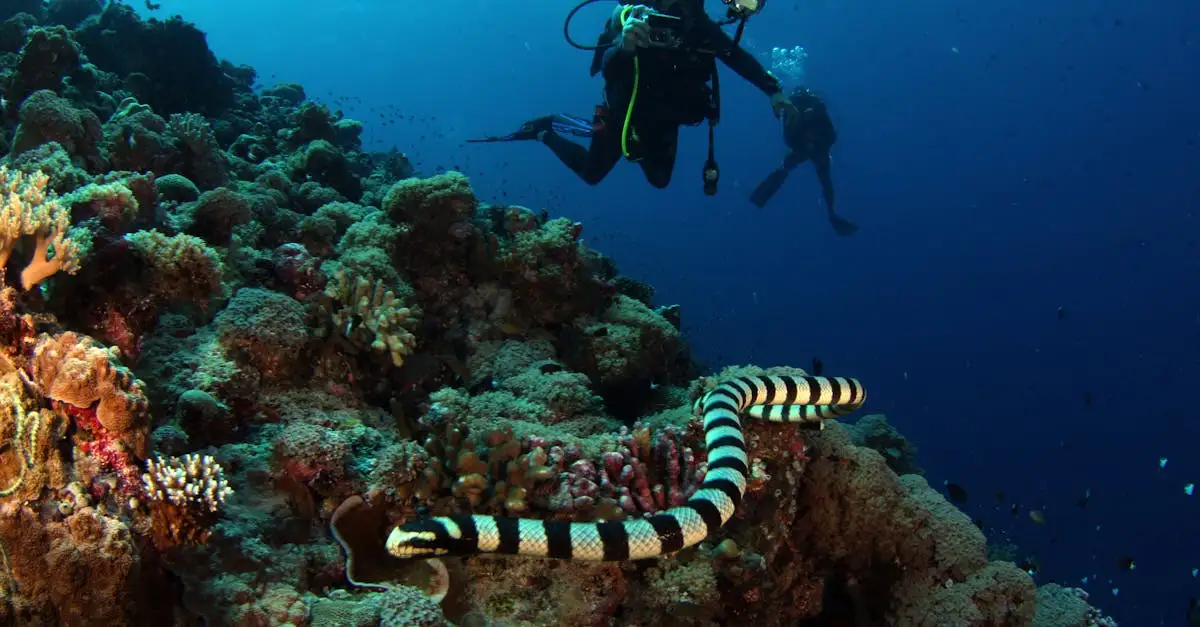 Quem é Ananta, o deus das serpentes e do oceano?